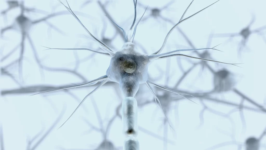 Kneschke v. LAION TDM